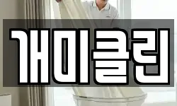개미클린