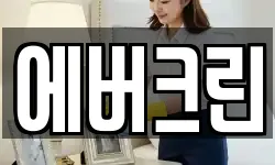 에버크린