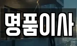 명품이사