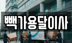 빽가용달이사