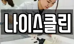 나이스클린