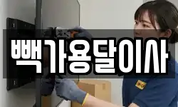 빽가용달이사