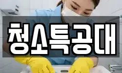 청소특공대