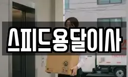 경남 거제시 덕포동 이사,용달이사,포장이사,원룸이사,보관이사