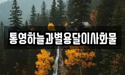 경남 거제시 동부면 이사,용달이사,포장이사,원룸이사,보관이사