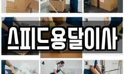 스피드용달이사