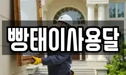 빵태이사용달
