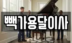 빽가용달이사