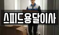 스피드용달이사