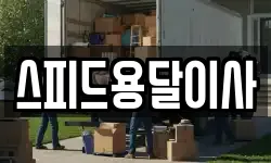 스피드용달이사