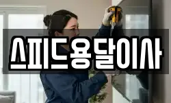 스피드용달이사