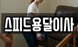 스피드용달이사