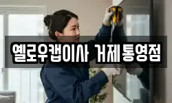 옐로우캡이사 거제통영점