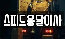 스피드용달이사