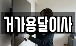 거가용달이사