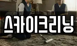 스카이크리닝