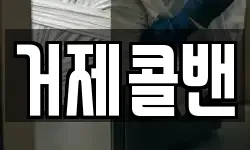 거제콜밴