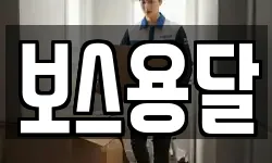 보스용달