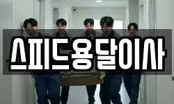 스피드용달이사
