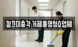 깔끄미총각 거제통영청소업체