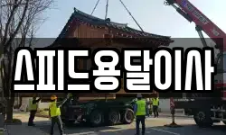 스피드용달이사