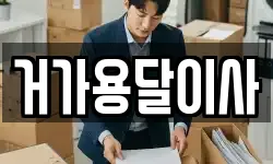 거가용달이사