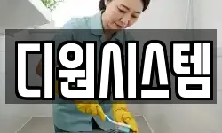 디원시스템