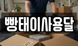 빵태이사용달