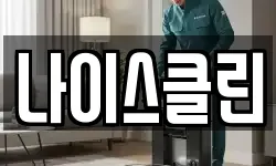 나이스클린