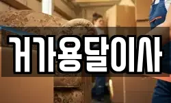 거가용달이사