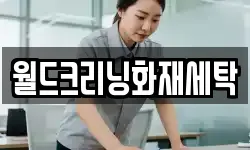 월드크리닝화재세탁