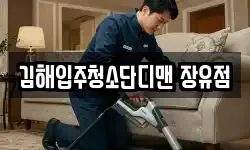 김해입주청소단디맨 장유점