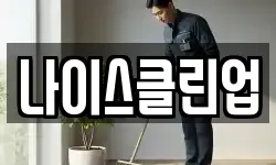 나이스클린업