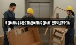 용달이사원룸투룸오피스텔이사사무실이사1톤트럭반포장이사