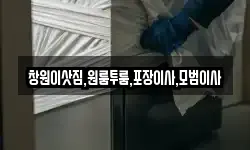 창원이삿짐,원룸투룸,포장이사,모범이사