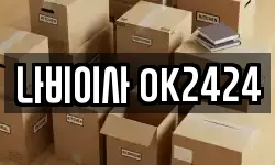 나비이사 OK2424