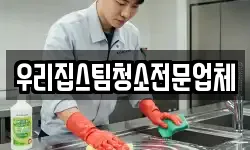 우리집스팀청소전문업체