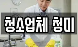 청소업체 청미