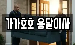 가가호호 용달이사