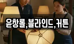 윤창롤,블라인드,커튼
