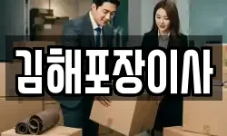 김해포장이사