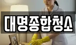 대명종합청소