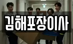 김해포장이사