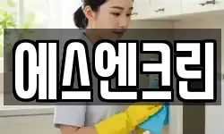에스엔크린