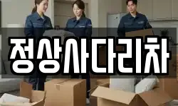 정상사다리차