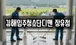 김해입주청소단디맨 장유점