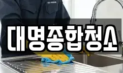 대명종합청소