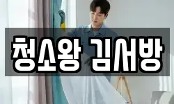 청소왕 김서방