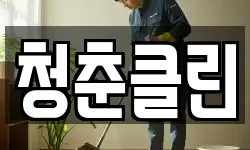 청춘클린