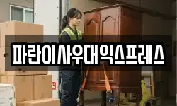 파란이사우대익스프레스